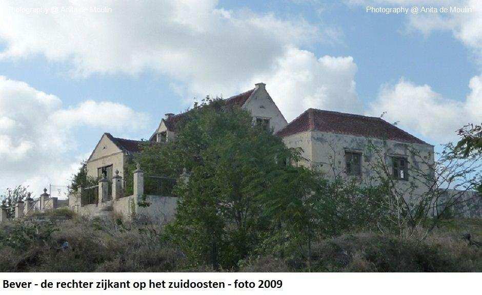30. Bever rechter zijkant op het zuidoosten 2009